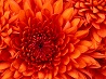 your image